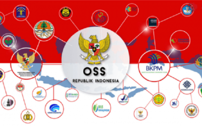 Apa Itu OSS (One Single Submission)?
